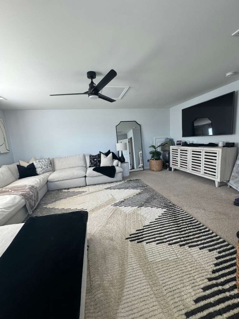 Living room cleaning